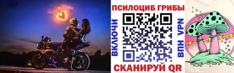 Псилоцибиновые грибы прущие грибы  Волгореченск 
